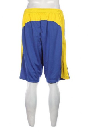 Ανδρικό κοντό παντελόνι, Μέγεθος XL, Χρώμα Πολύχρωμο, Τιμή 23,50 €