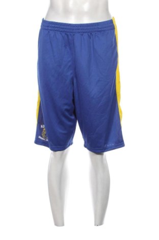 Ανδρικό κοντό παντελόνι, Μέγεθος L, Χρώμα Πολύχρωμο, Τιμή 24,74 €