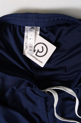 Pantaloni scurți de bărbați Adidas, Mărime M, Culoare Albastru, Preț 106,25 Lei