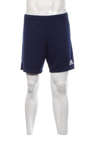 Herren Shorts Adidas, Größe M, Farbe Blau, Preis 23,66 €