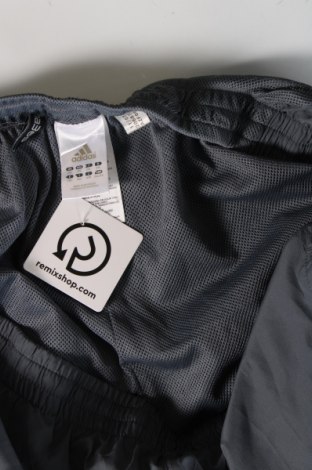 Ανδρικό κοντό παντελόνι Adidas, Μέγεθος XXL, Χρώμα Γκρί, Τιμή 21,03 €