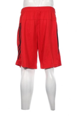 Herren Shorts Adidas, Größe XL, Farbe Rot, Preis € 23,66