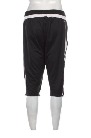Herren Shorts Adidas, Größe L, Farbe Schwarz, Preis 22,48 €