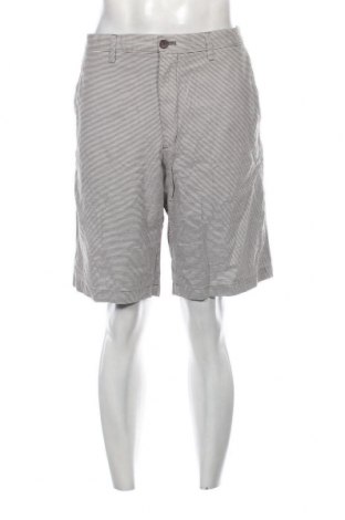 Herren Shorts Banana Republic, Größe XL, Farbe Mehrfarbig, Preis 15,69 €