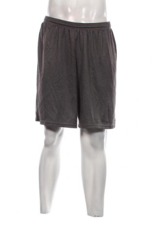 Herren Shorts Champion, Größe XL, Farbe Grau, Preis 10,44 €