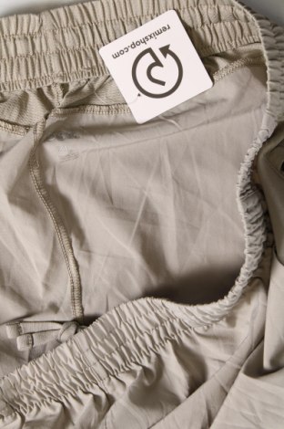 Ανδρικό κοντό παντελόνι DSG Outerwear, Μέγεθος XL, Χρώμα  Μπέζ, Τιμή 7,73 €