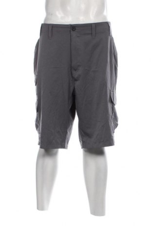 Herren Shorts Denali, Größe XL, Farbe Grau, Preis 9,99 €