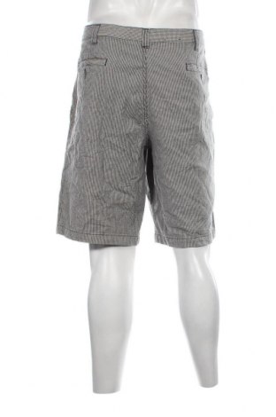 Herren Shorts Denver Hayes, Größe XL, Farbe Mehrfarbig, Preis 17,40 €