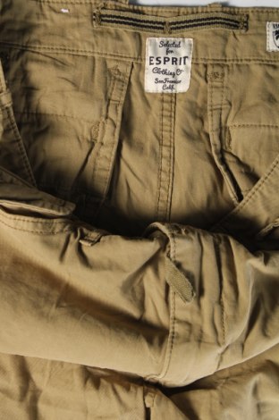 Мъжки къс панталон Esprit, Размер M, Цвят Зелен, Цена 25,65 лв.