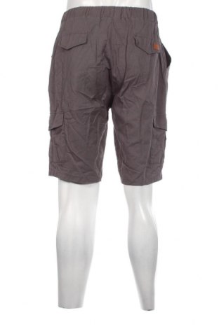 Herren Shorts Fashion, Größe M, Farbe Grau, Preis € 18,79