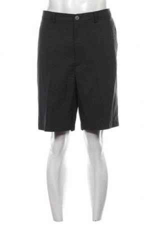 Herren Shorts Haggar, Größe XL, Farbe Schwarz, Preis € 16,53