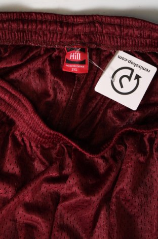 Ανδρικό κοντό παντελόνι Hill, Μέγεθος XXL, Χρώμα Κόκκινο, Τιμή 13,46 €