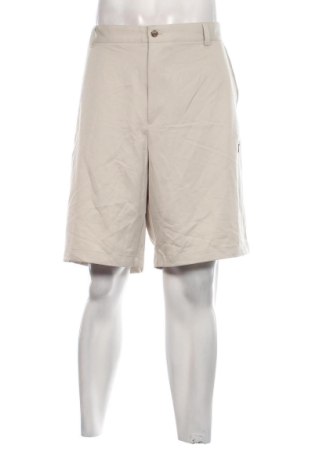 Herren Shorts Izod, Größe XXL, Farbe Beige, Preis 13,05 €