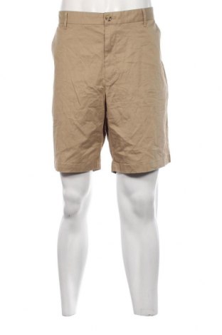 Herren Shorts Izod, Größe XXL, Farbe Beige, Preis € 12,18