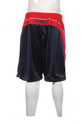 Ανδρικό κοντό παντελόνι NIKA, Μέγεθος XL, Χρώμα Πολύχρωμο, Τιμή 28,21 €