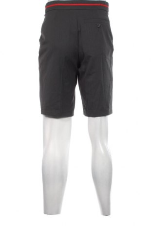 Herren Shorts Nike, Größe S, Farbe Grau, Preis € 22,48