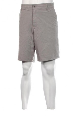 Herren Shorts O'neill, Größe XL, Farbe Grau, Preis € 15,69