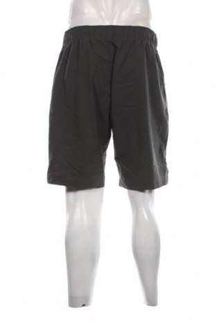 Herren Shorts Reebok, Größe L, Farbe Grün, Preis € 23,66