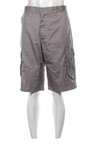 Ανδρικό κοντό παντελόνι Reset, Μέγεθος L, Χρώμα Γκρί, Τιμή 25,36 €