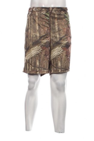 Мъжки къс панталон Russell, Размер XL, Цвят Многоцветен, Цена 15,00 лв.
