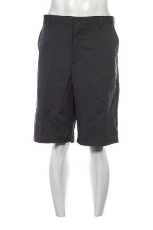 Herren Shorts Sunice, Größe XL, Farbe Mehrfarbig, Preis 28,70 €