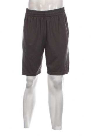 Herren Shorts Xersion, Größe L, Farbe Grau, Preis 13,22 €