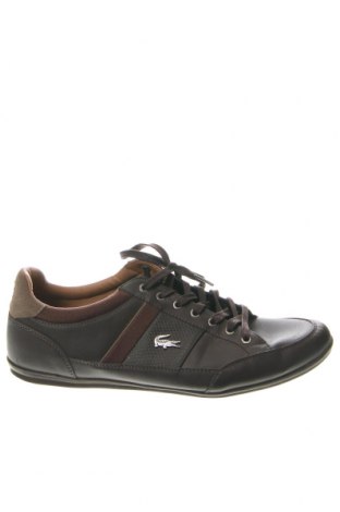 Herrenschuhe Lacoste, Größe 42, Farbe Braun, Preis € 81,31