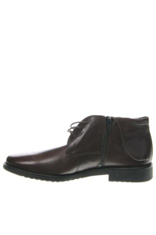 Herrenschuhe Salamander, Größe 42, Farbe Braun, Preis € 112,37