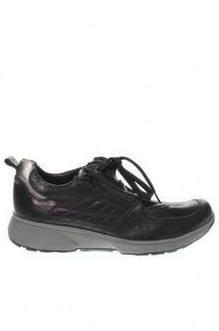 Ανδρικά παπούτσια Xsensible, Μέγεθος 41, Χρώμα Μαύρο, Τιμή 80,10 €