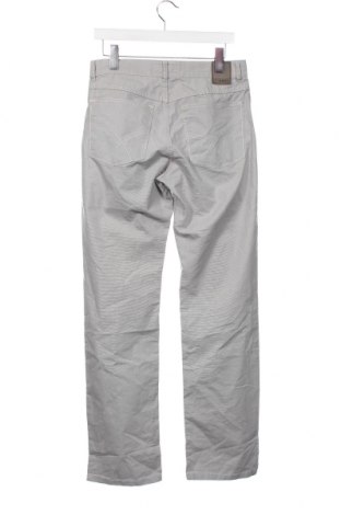 Herrenhose Brax, Größe S, Farbe Grau, Preis 25,88 €