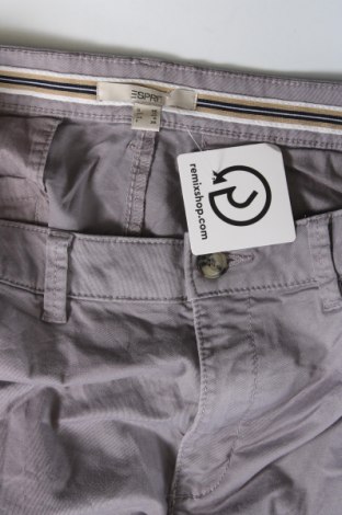 Ανδρικό παντελόνι Esprit, Μέγεθος S, Χρώμα Βιολετί, Τιμή 10,14 €
