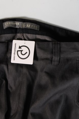 Мъжки панталон Icebreaker, Размер M, Цвят Сив, Цена 57,60 лв.