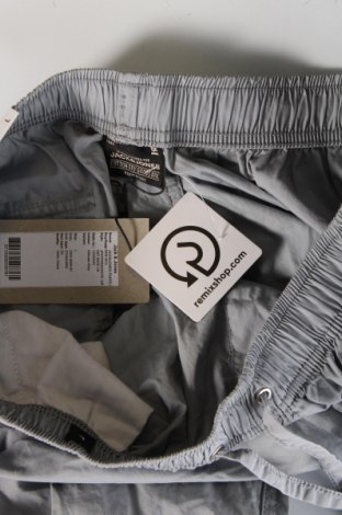 Pantaloni de bărbați Jack & Jones, Mărime L, Culoare Gri, Preț 146,55 Lei