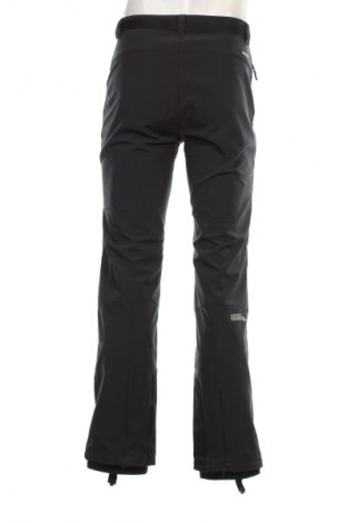 Ανδρικό παντελόνι για χειμερινά σπορ Icepeak, Μέγεθος S, Χρώμα Μαύρο, Τιμή 48,71 €