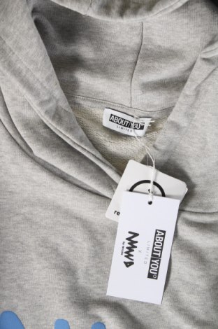 Herren Sweatshirt About You, Größe XL, Farbe Grau, Preis 14,38 €