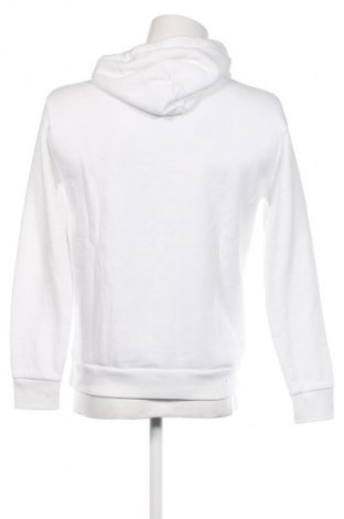Herren Sweatshirt Hollister, Größe S, Farbe Weiß, Preis 23,97 €