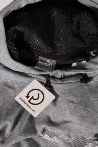 Herren Sweatshirt PUMA, Größe S, Farbe Grau, Preis 38,27 €