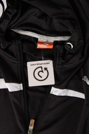 Herren Sweatshirt PUMA, Größe XL, Farbe Schwarz, Preis 36,36 €