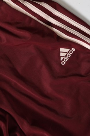 Męskie spodnie sportowe Adidas, Rozmiar L, Kolor Czerwony, Cena 131,14 zł