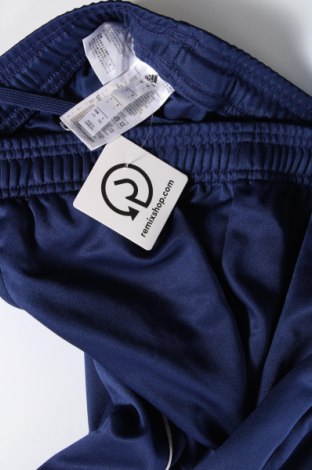 Herren Sporthose Adidas, Größe L, Farbe Blau, Preis 27,10 €