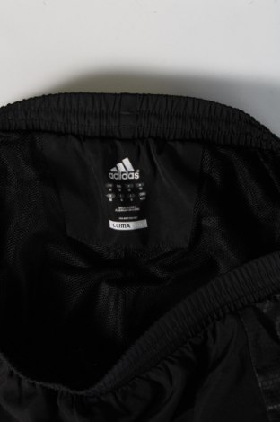 Pánské tepláky  Adidas, Velikost M, Barva Černá, Cena  621,00 Kč