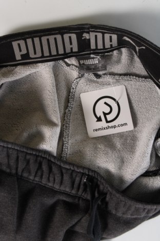 Herren Sporthose PUMA, Größe L, Farbe Grau, Preis 13,63 €