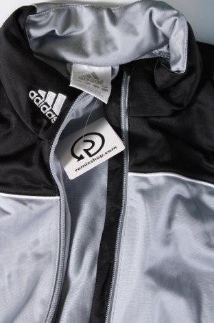 Ανδρική αθλητική ζακέτα Adidas, Μέγεθος XL, Χρώμα Γκρί, Τιμή 29,69 €