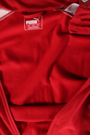 Ανδρική αθλητική ζακέτα PUMA, Μέγεθος M, Χρώμα Κόκκινο, Τιμή 41,75 €