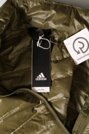 Herrenjacke Adidas, Größe XL, Farbe Grün, Preis € 84,67