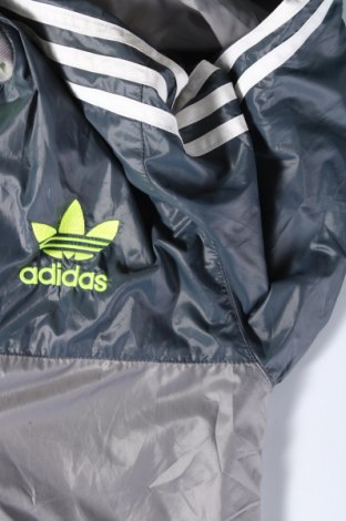 Ανδρικό μπουφάν Adidas Originals, Μέγεθος M, Χρώμα Γκρί, Τιμή 54,43 €