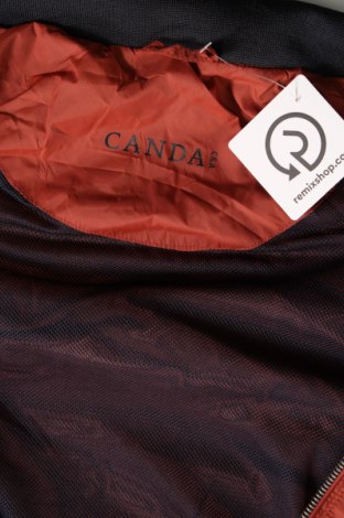 Ανδρικό μπουφάν Canda, Μέγεθος L, Χρώμα Πορτοκαλί, Τιμή 17,81 €