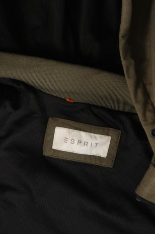 Ανδρικό μπουφάν Esprit, Μέγεθος M, Χρώμα Πράσινο, Τιμή 25,24 €