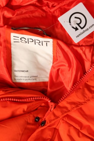 Herrenjacke Esprit, Größe L, Farbe Orange, Preis 43,01 €
