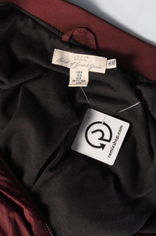 Ανδρικό μπουφάν H&M, Μέγεθος M, Χρώμα Κόκκινο, Τιμή 16,33 €